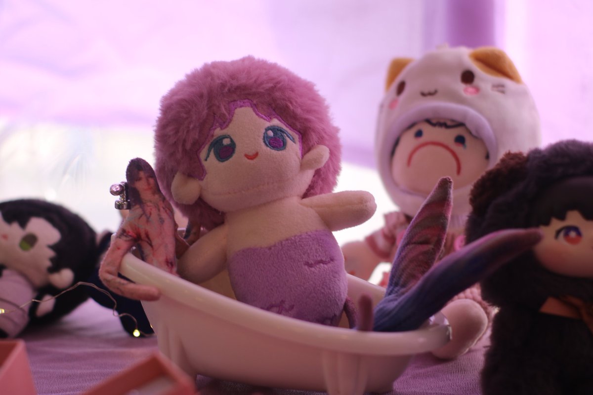 starfish club tweet media