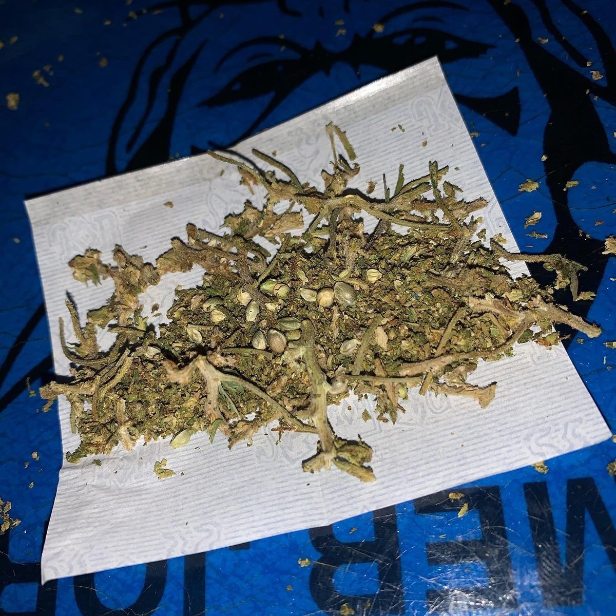 STONERS R US 🍃 tweet media