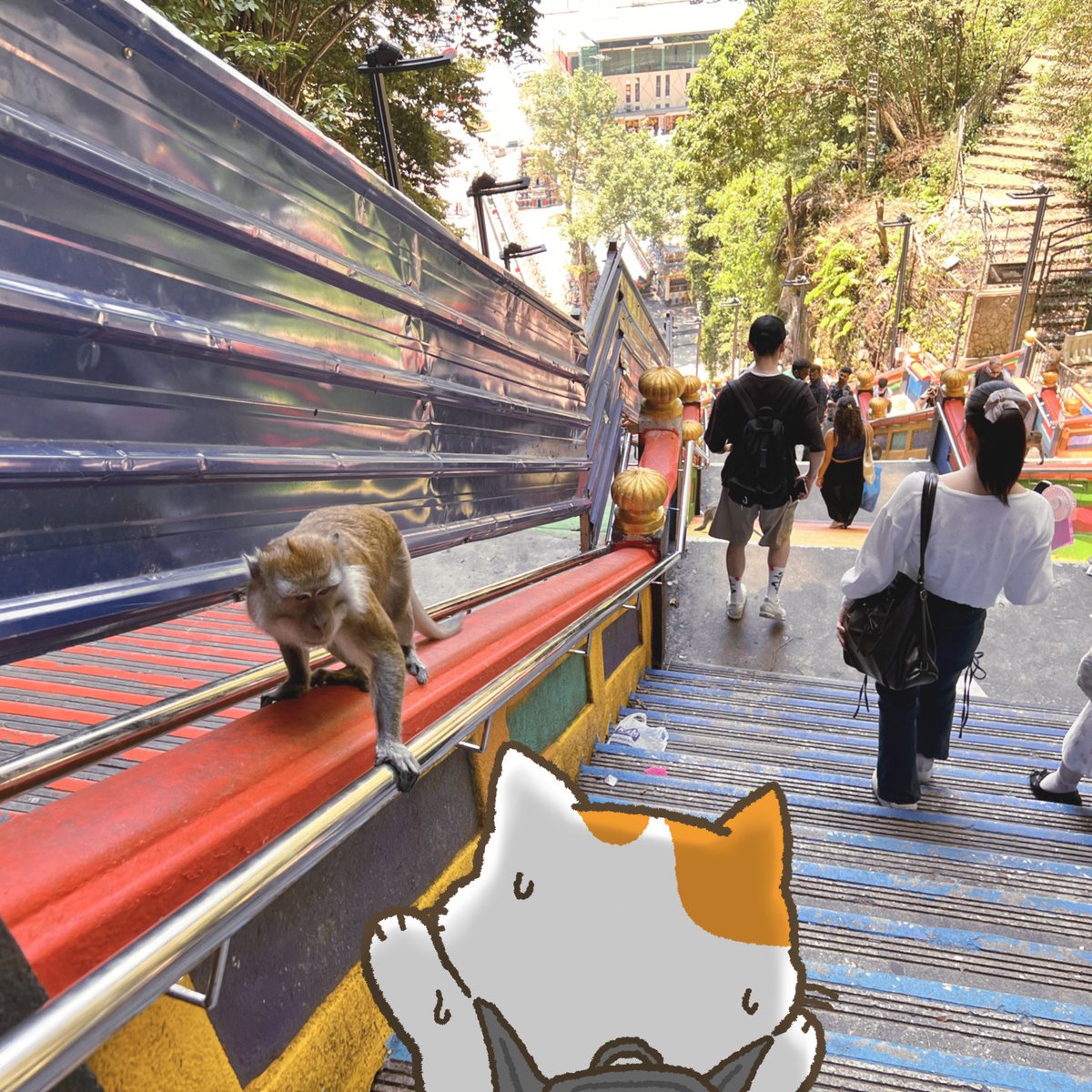 gunyangi_'s tweet photo. 바투 동굴 계단이 진짜 가파른데 얘네가 시비털까봐 난간을 못 잡것어 https://t.co/Dtp6gYw56o