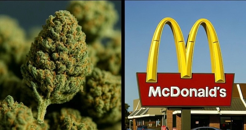 Marijuana has less health risks than McDonalds 😳
