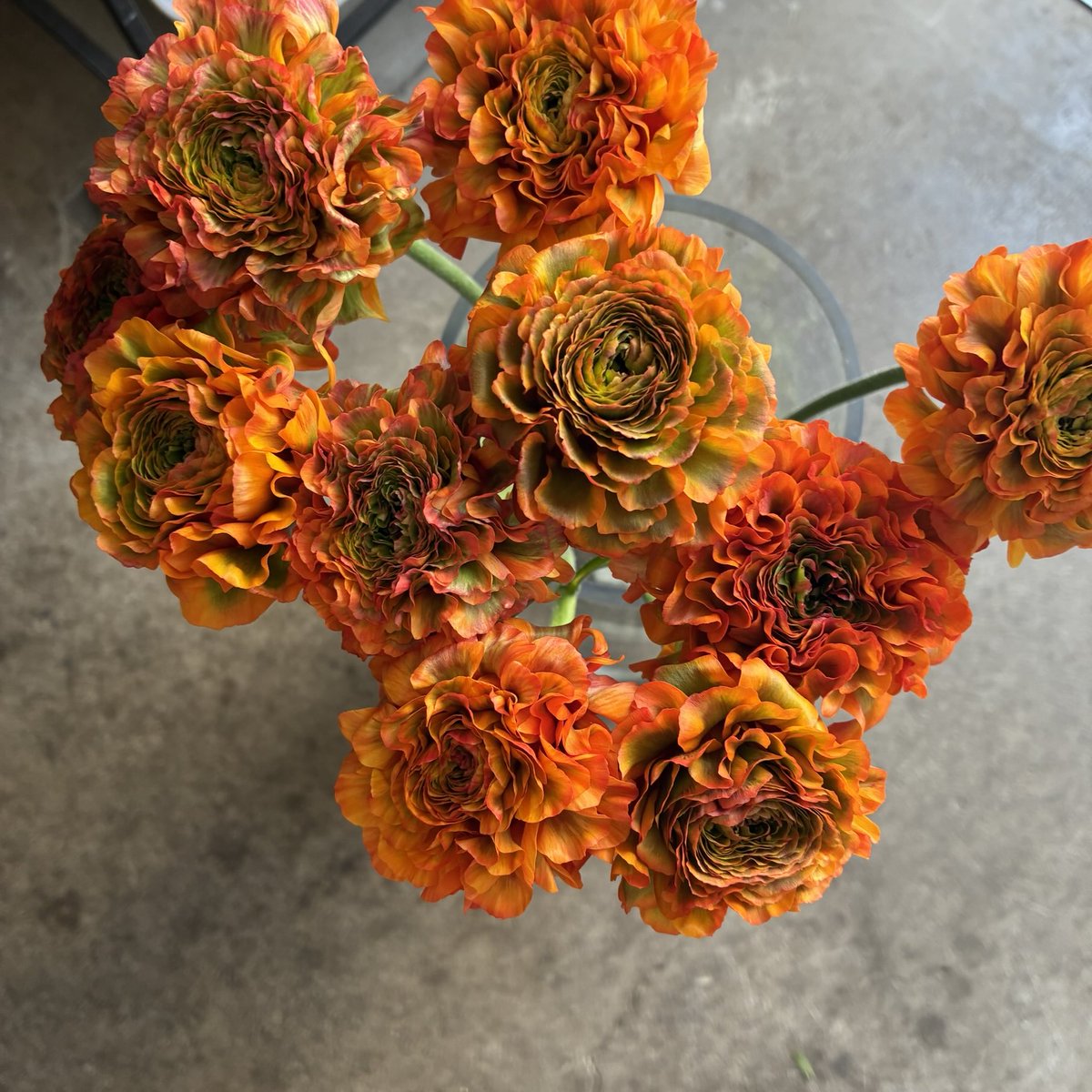 d`ici peu tweet media