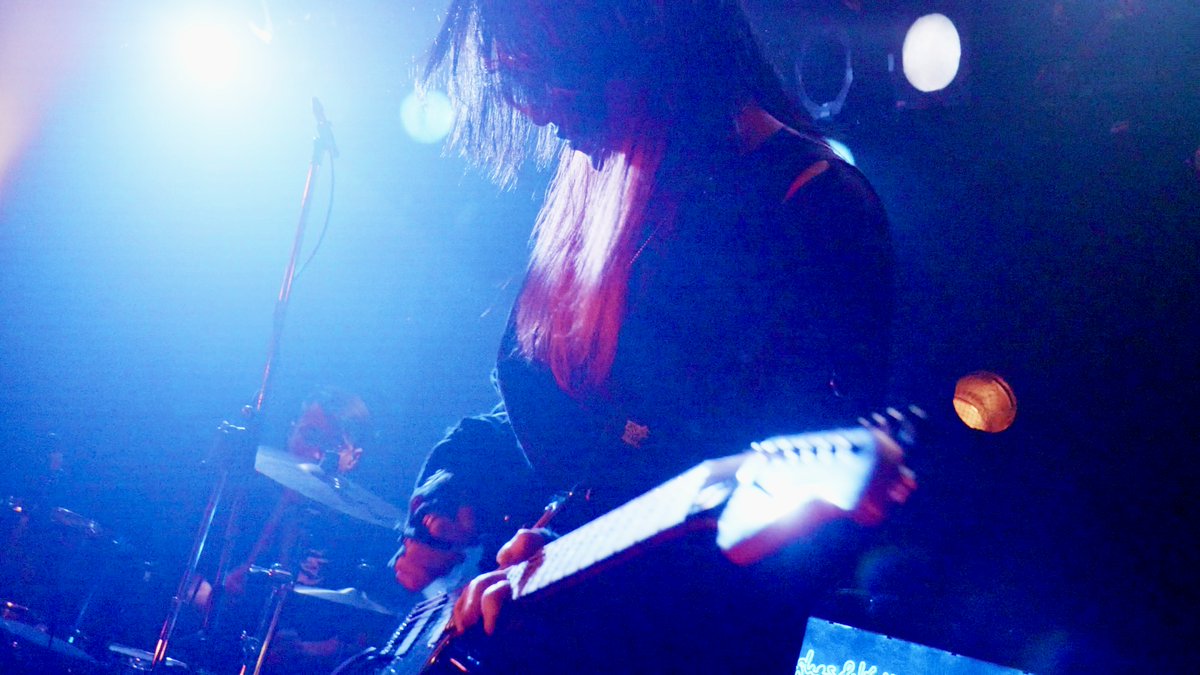 COLLAPSE tweet media