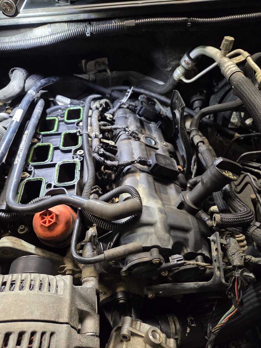 Tim Cheech tweet media