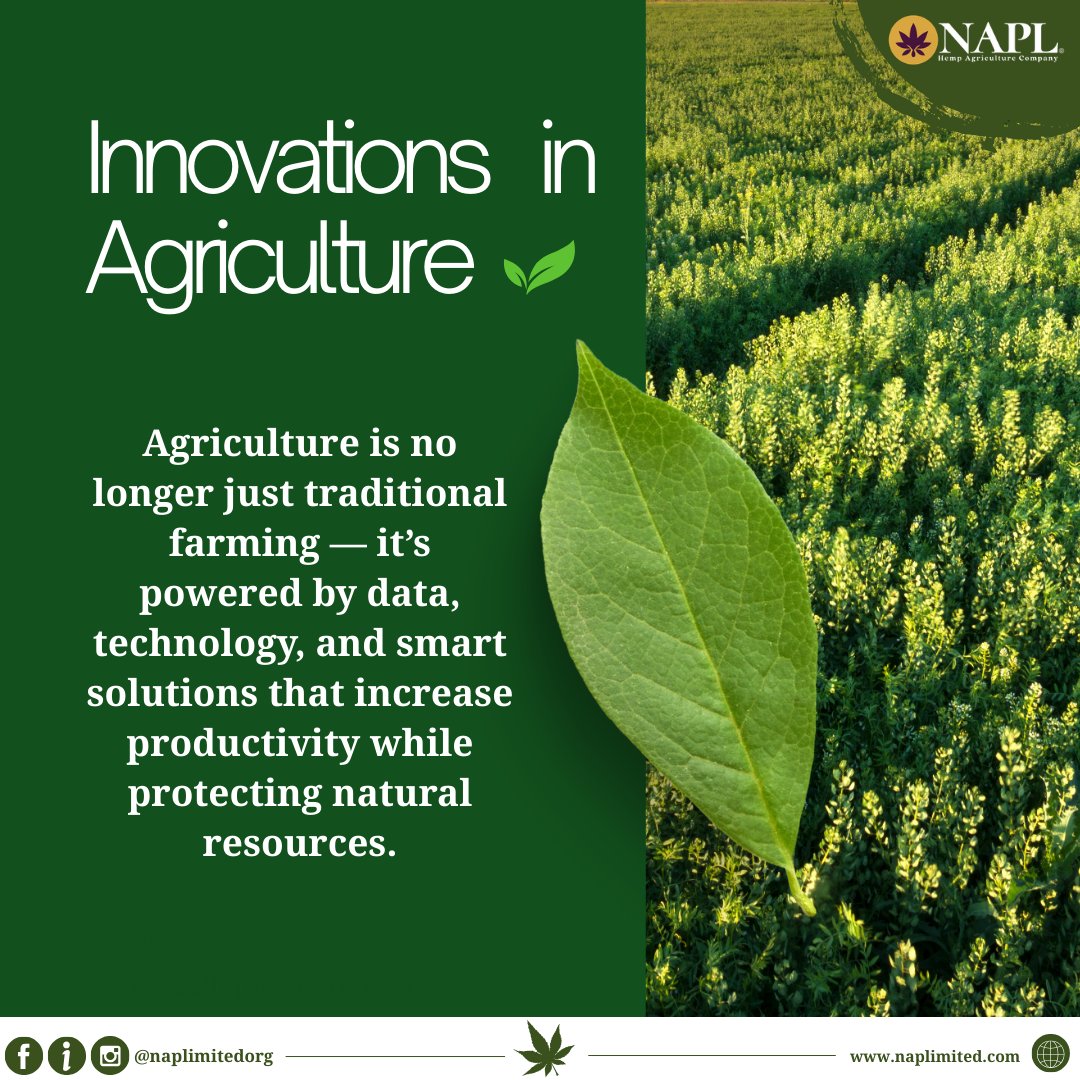 naplimitedorg's tweet photo. Smart Agriculture 🛰️🌾

Farming today goes beyond soil and seeds. With technology, data insights, and innovative tools, farmers can grow more efficiently while caring for the land that supports them.

#NAPL #SmartAgriculture #AgriInnovation #FutureFarming #TechInFarming #Sustain https://t.co/deFvVdk8ai