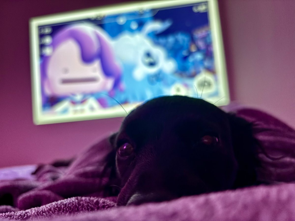 Hart 🦊👾 tweet media