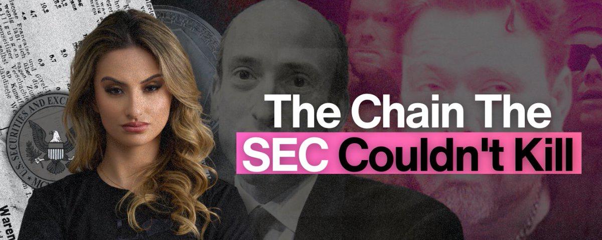 MVS Cryp 🕵️‍♂️💜🍊🌱 tweet media