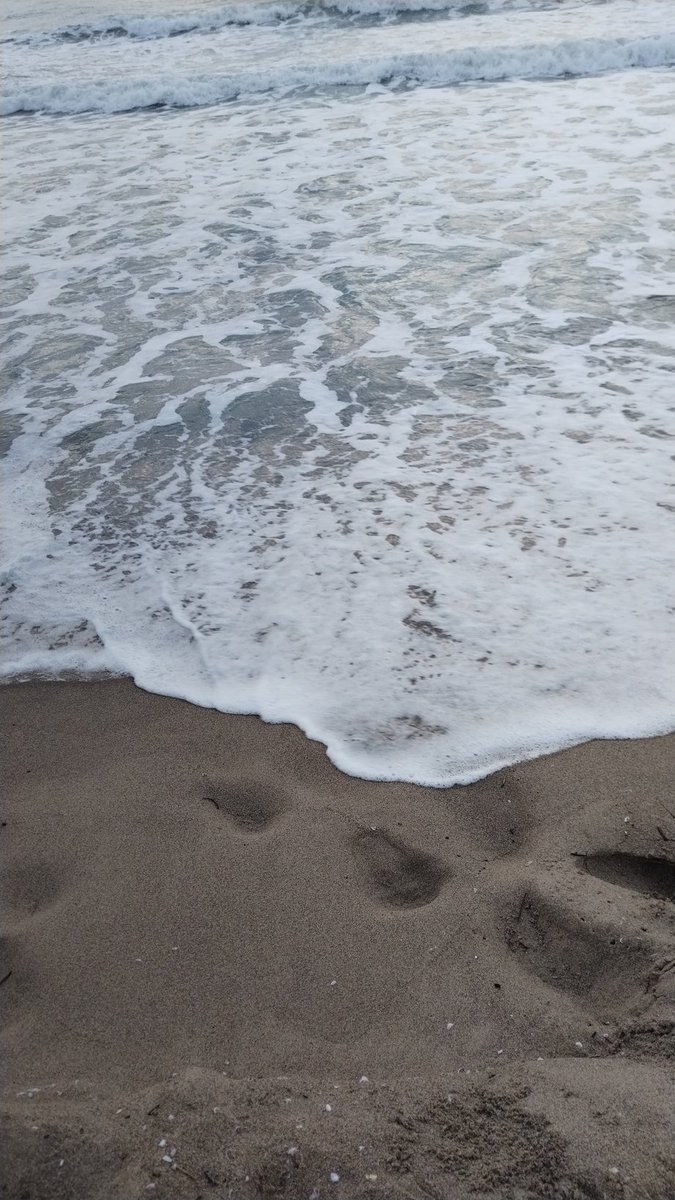 ghirigoro rogighiro  tweet media