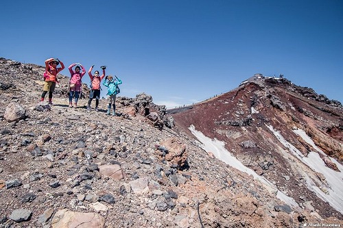 植物が好きな登山ガイド tweet media