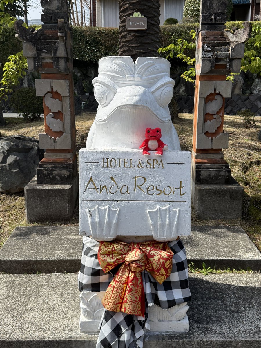 りらぴく tweet media