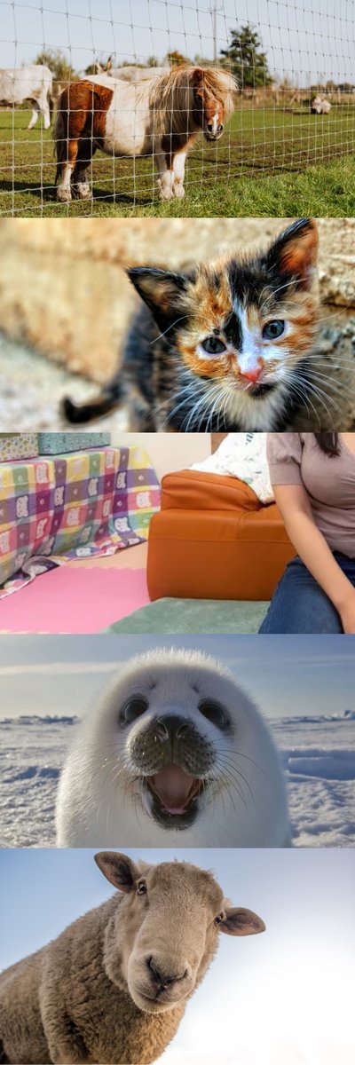 代打俺 tweet media