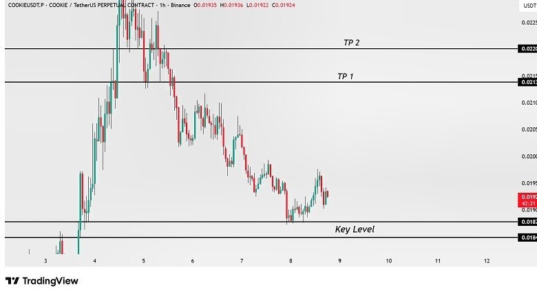 CryptoRoyal16's tweet photo. $COOKIE

COOKIE / USDT is currently showing positive signs of a potential bullish rally toward the $0.02139 – $0.02201 target zone. As long as the price continues to hold above our key support level, the probability of bullish continuation remains strong. 
#cookieusdt #Trading https://t.co/6tG05m4mMA