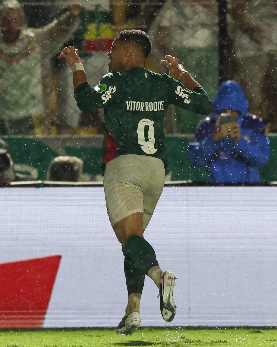 SE Palmeiras tweet media