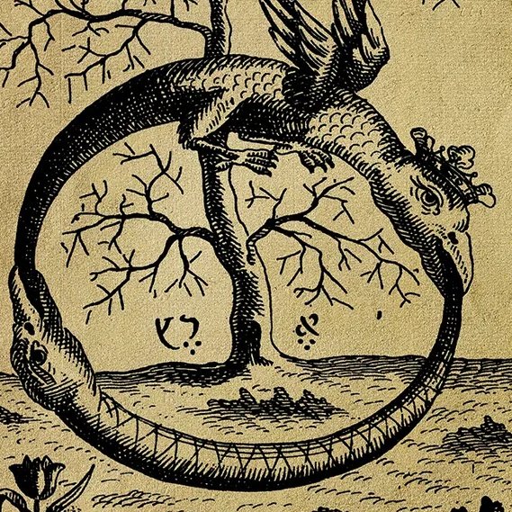 cash4turtles(Waifudev)🌸☢️ tweet media