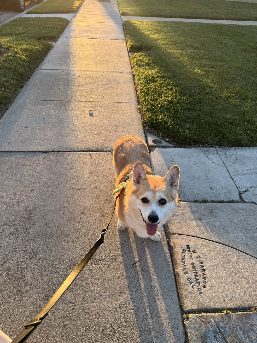 캡틴 일기 tweet media