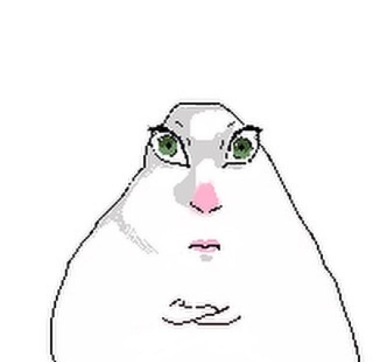 NabEL 🧁⭐️🍡 tweet media