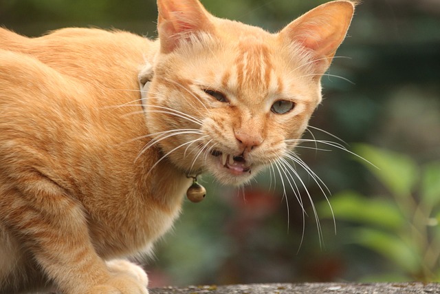 Melanie Marks tweet media