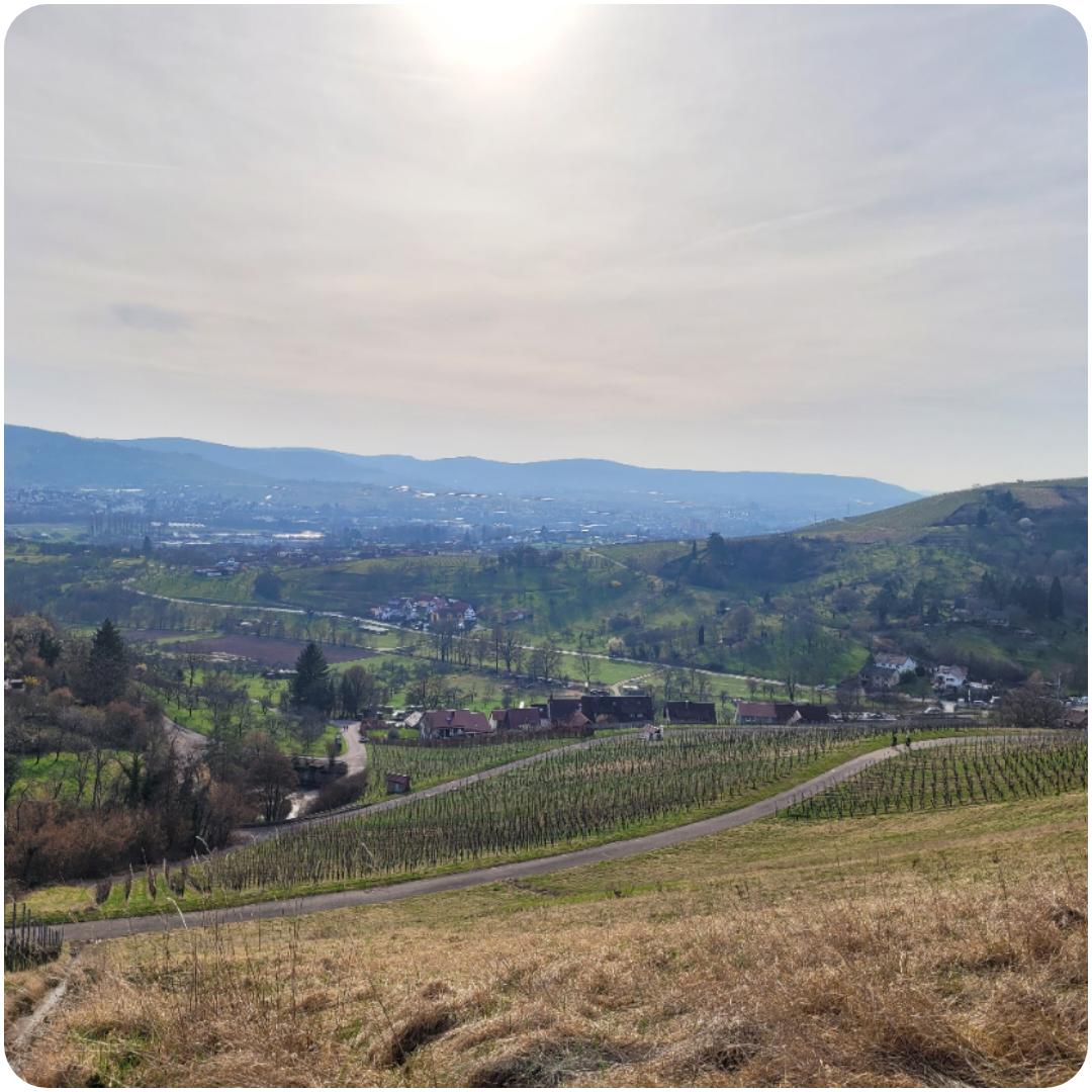 Andi Running tweet media