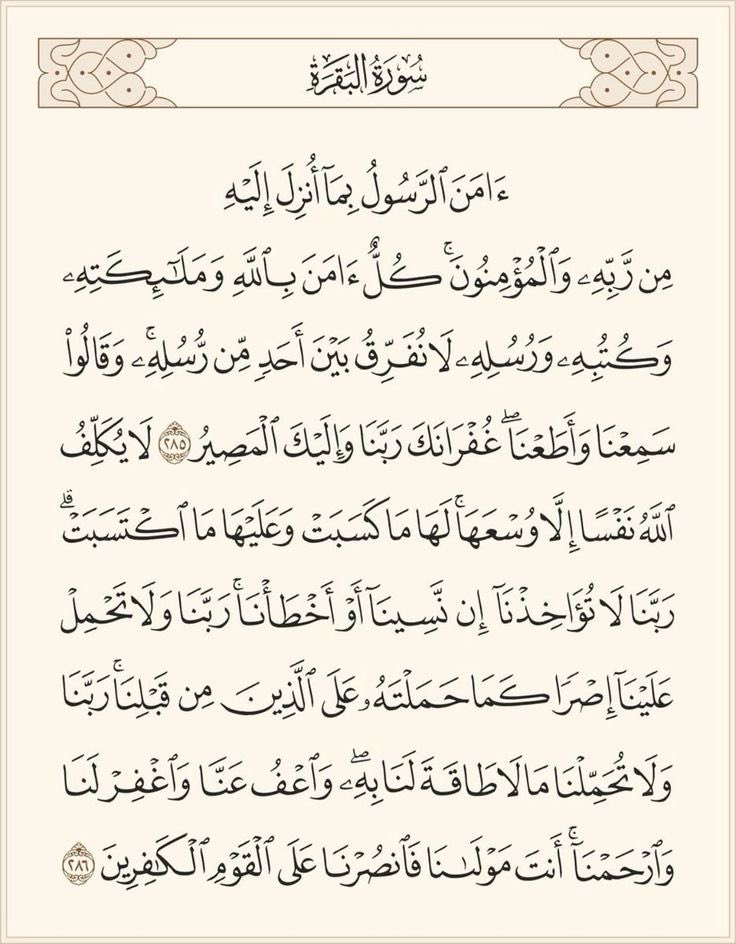 rmbr__'s tweet photo. 5- قراءة خواتيم سورة البقرة من آية: "آمنَ الرسُولُ…"

فإن وافقت قراءتك ليلة القدر، فقد كُتب لك أجر عظيم، فقد قال النبي ﷺ: من قرأ هاتين الآيتين من آخر سورة البقرة في ليلة كفتاه.

وقال ابن حجر: كفتاه، يعني قيام 30,000 ليلة (ثلاثين ألف ليلة)، لقول النبي ﷺ: أجزأتاه عن قيام الليل. https://t.co/pbtiNs2JRY