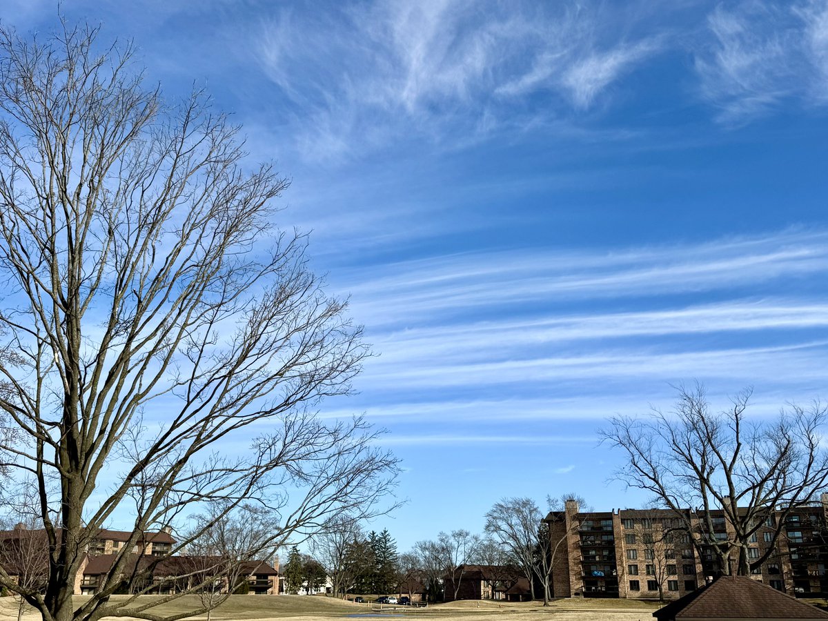 Cirrus-cirrostratus-cirrocumulus clouds-cloud-sunny-blue sky-bare trees-branches 4:35-40pm March 8 2026 Northbrook Illinois USA-Editorial Use Permission w/Credit: Michael Heimlich <a href="/MichaelHeimlich/">Michael Heimlich</a>; #Cirrus #Cirrostratus #Cirrocumulus #Clouds #Sky #wx #ILwx <a href="/NWSChicago/">NWS Chicago</a> #StormHour