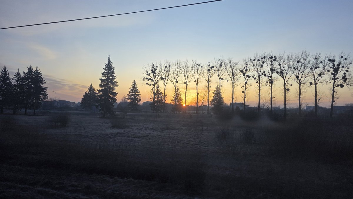 Tory Jam 🇺🇦🕊️ tweet media