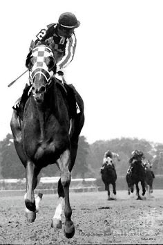 Stu Stuedeman tweet media