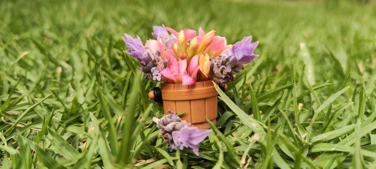 Arreglo de flores mini con lavandas 💖💐