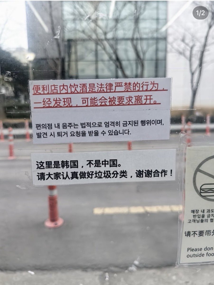 のらいぬ tweet media