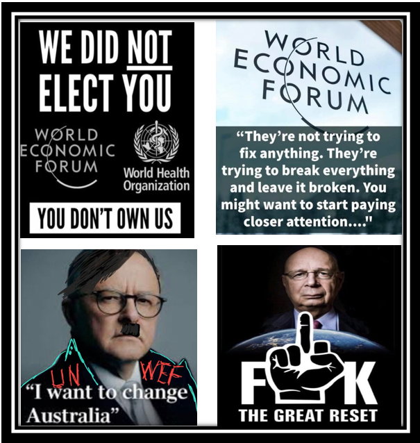 Wayne Johnson tweet media