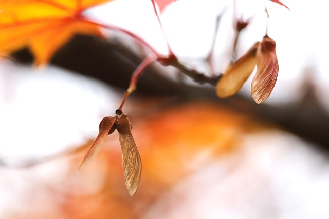 Thomas Martin tweet media