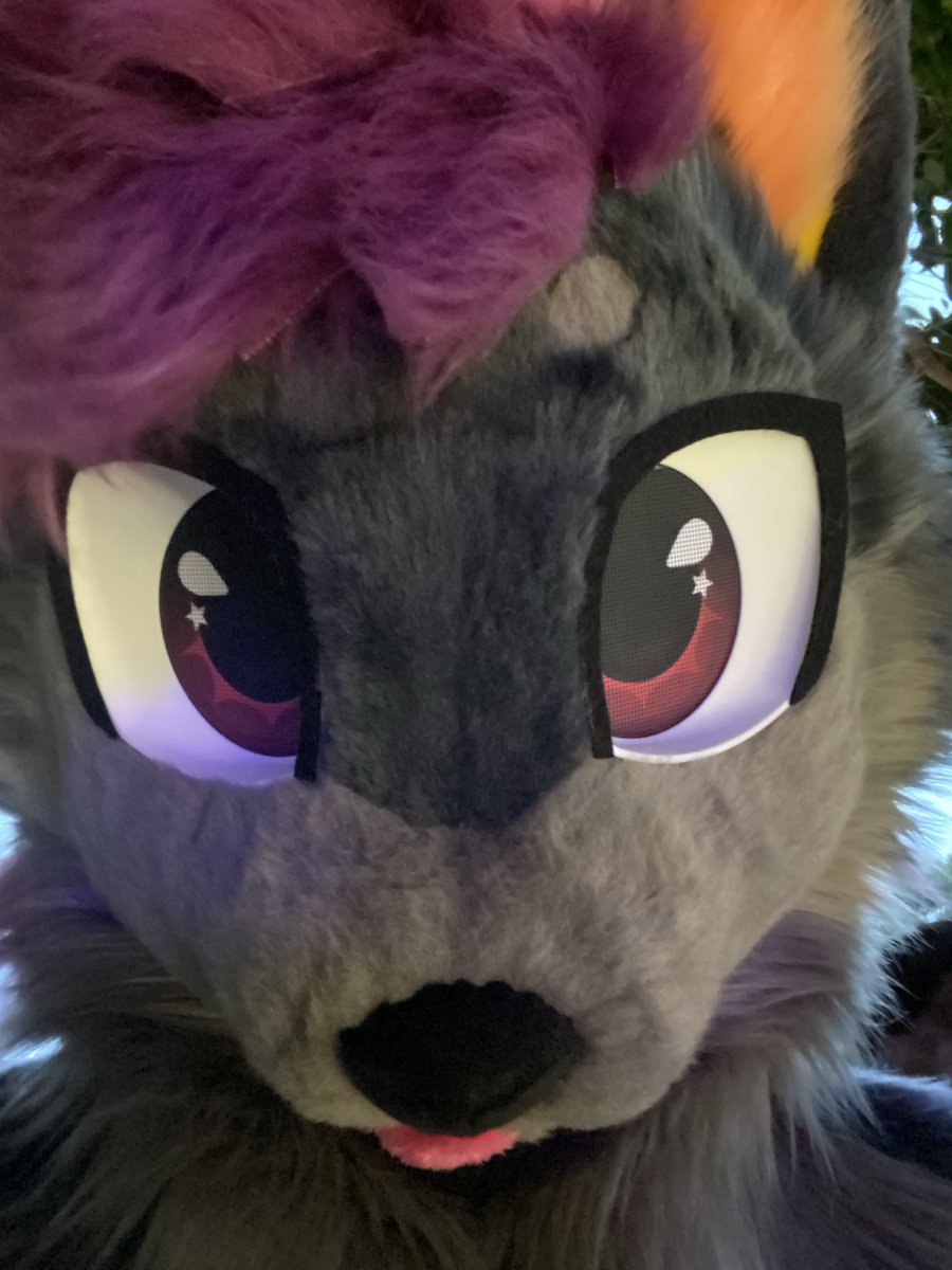 disphing🔜furdu tweet media