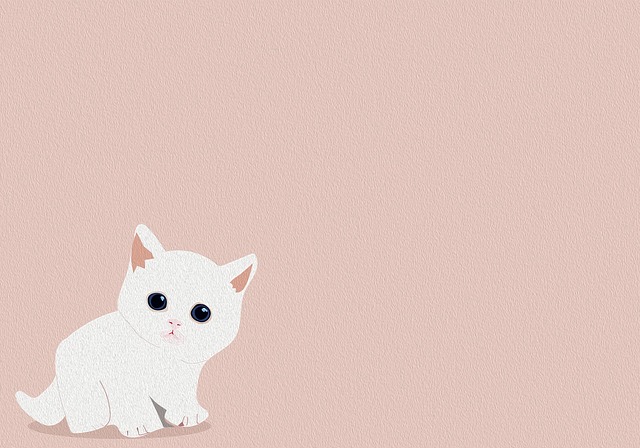 Jonathan Hernandez tweet media