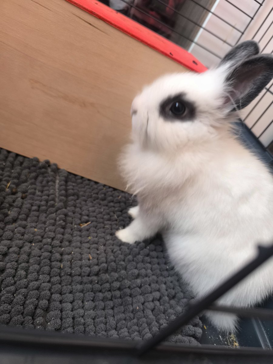 Anna Kurz tweet media