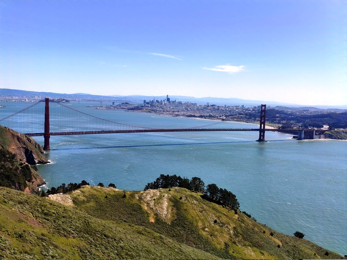 Piotr Kosmaty tweet media