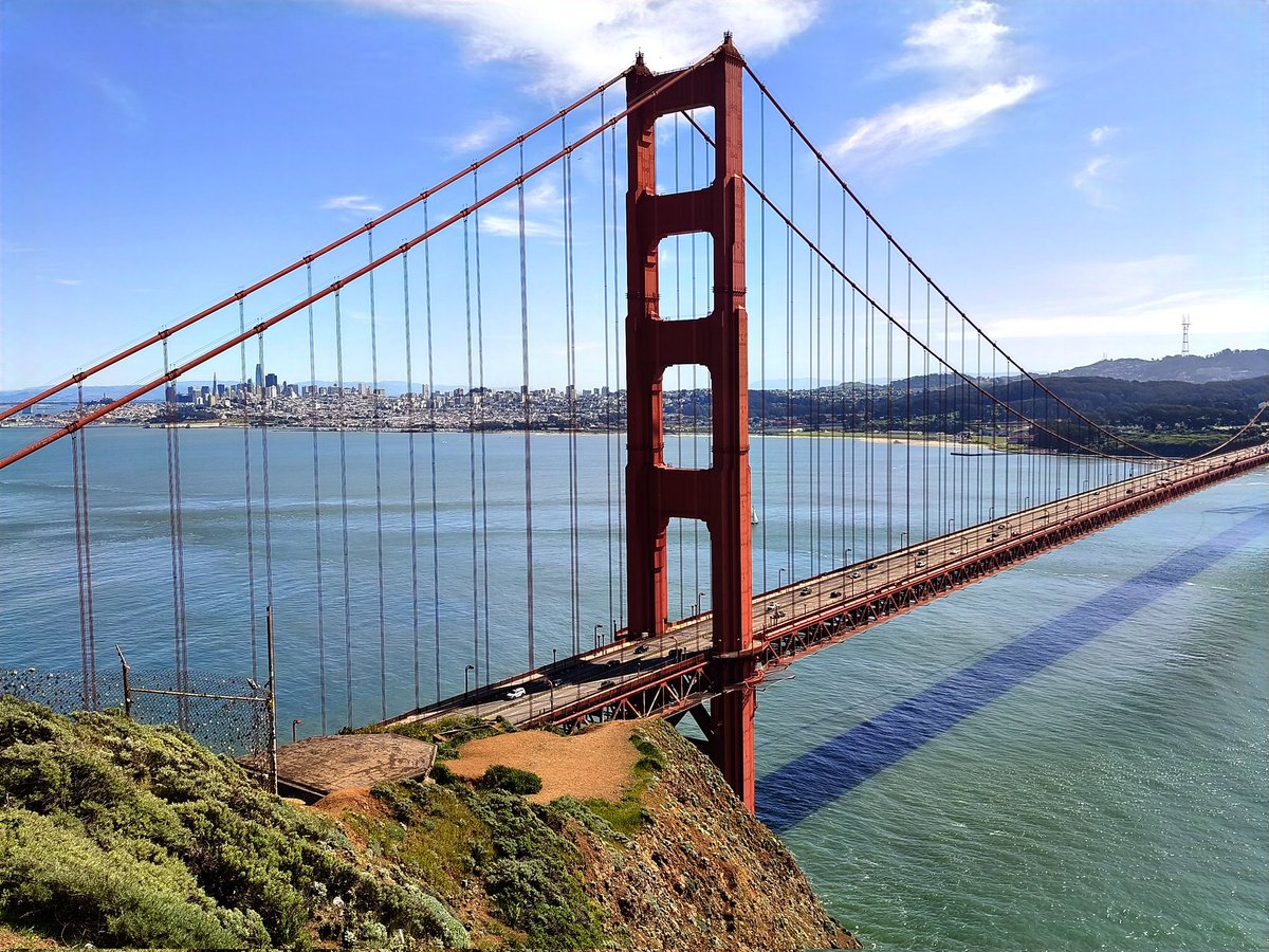 Piotr Kosmaty tweet media