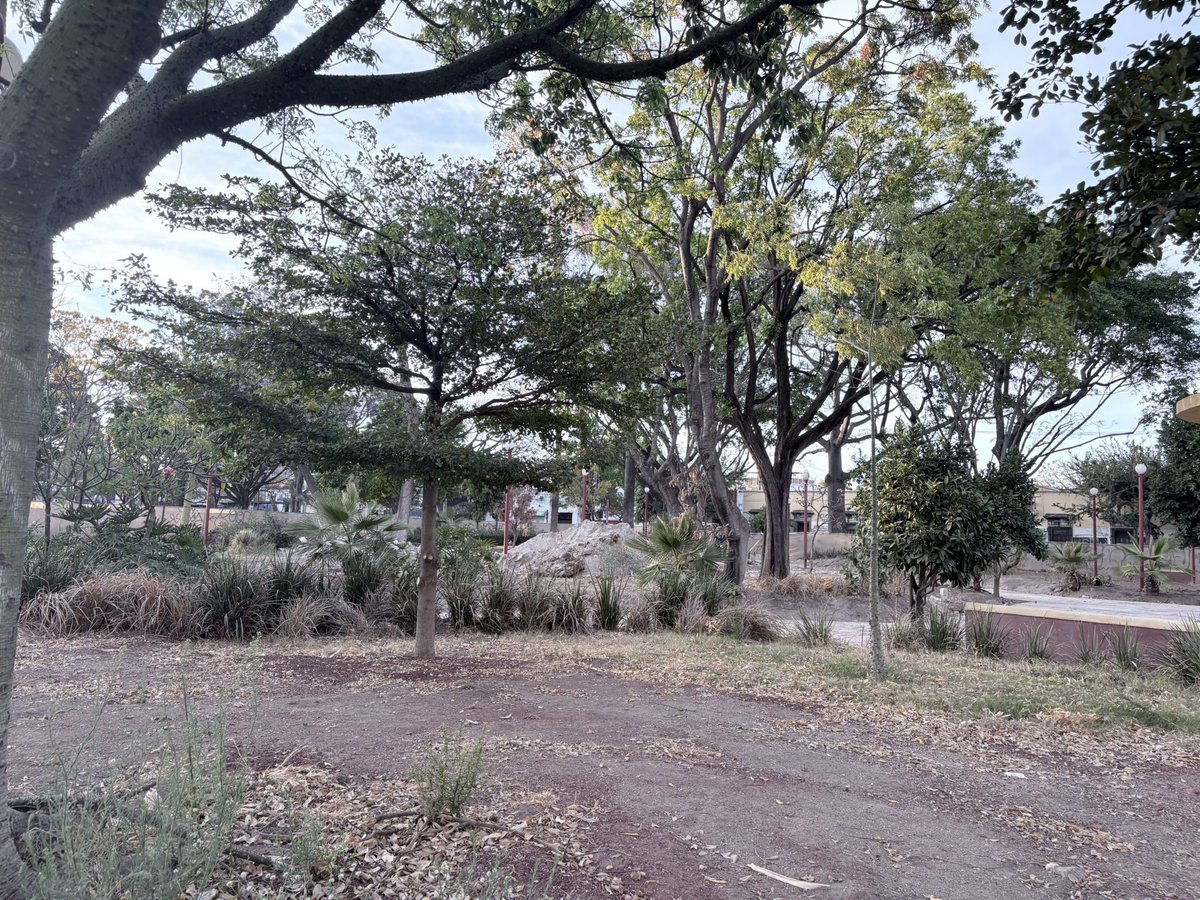 LUIS GUZMAN  📣 tweet media