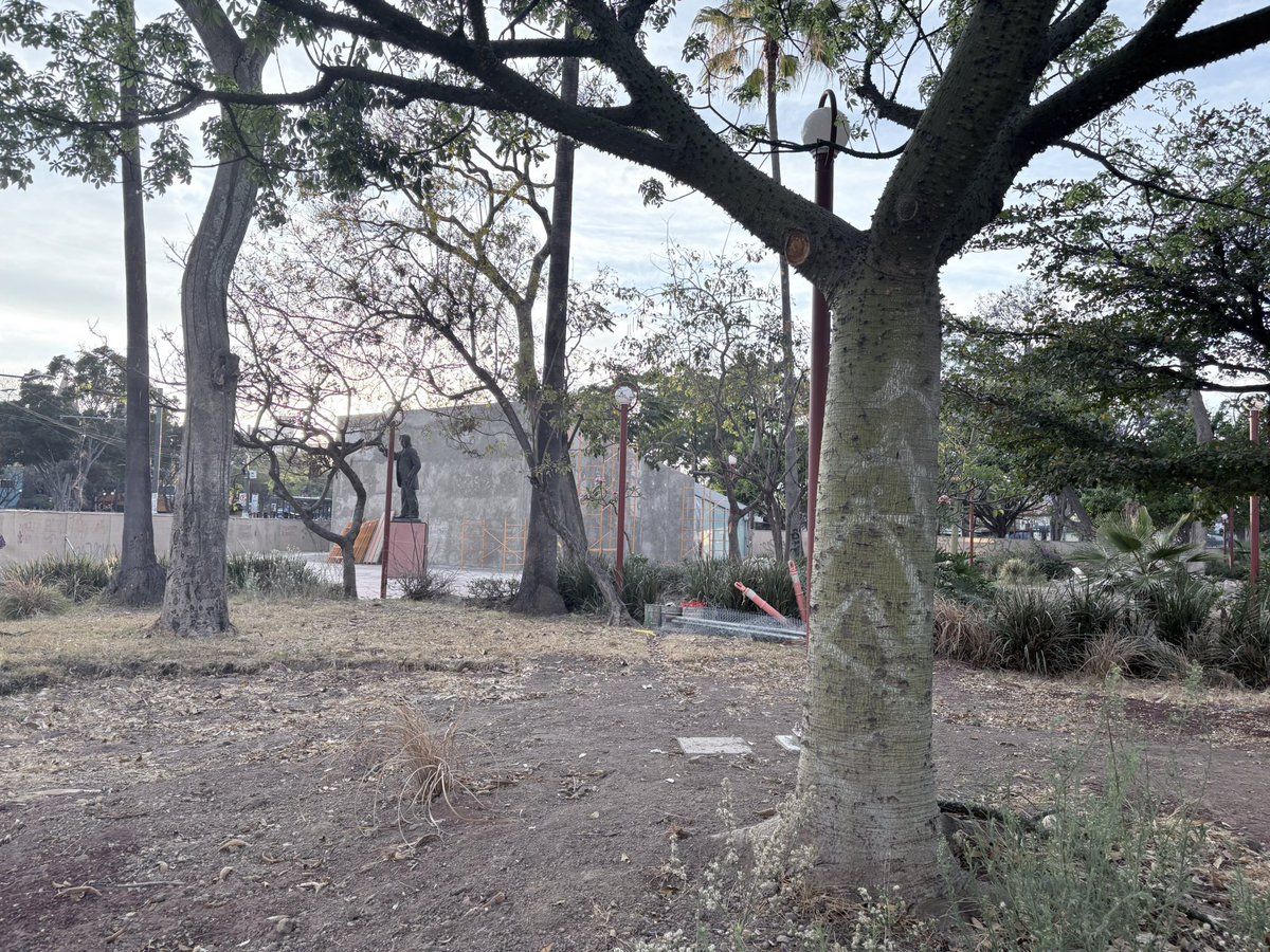 LUIS GUZMAN  📣 tweet media