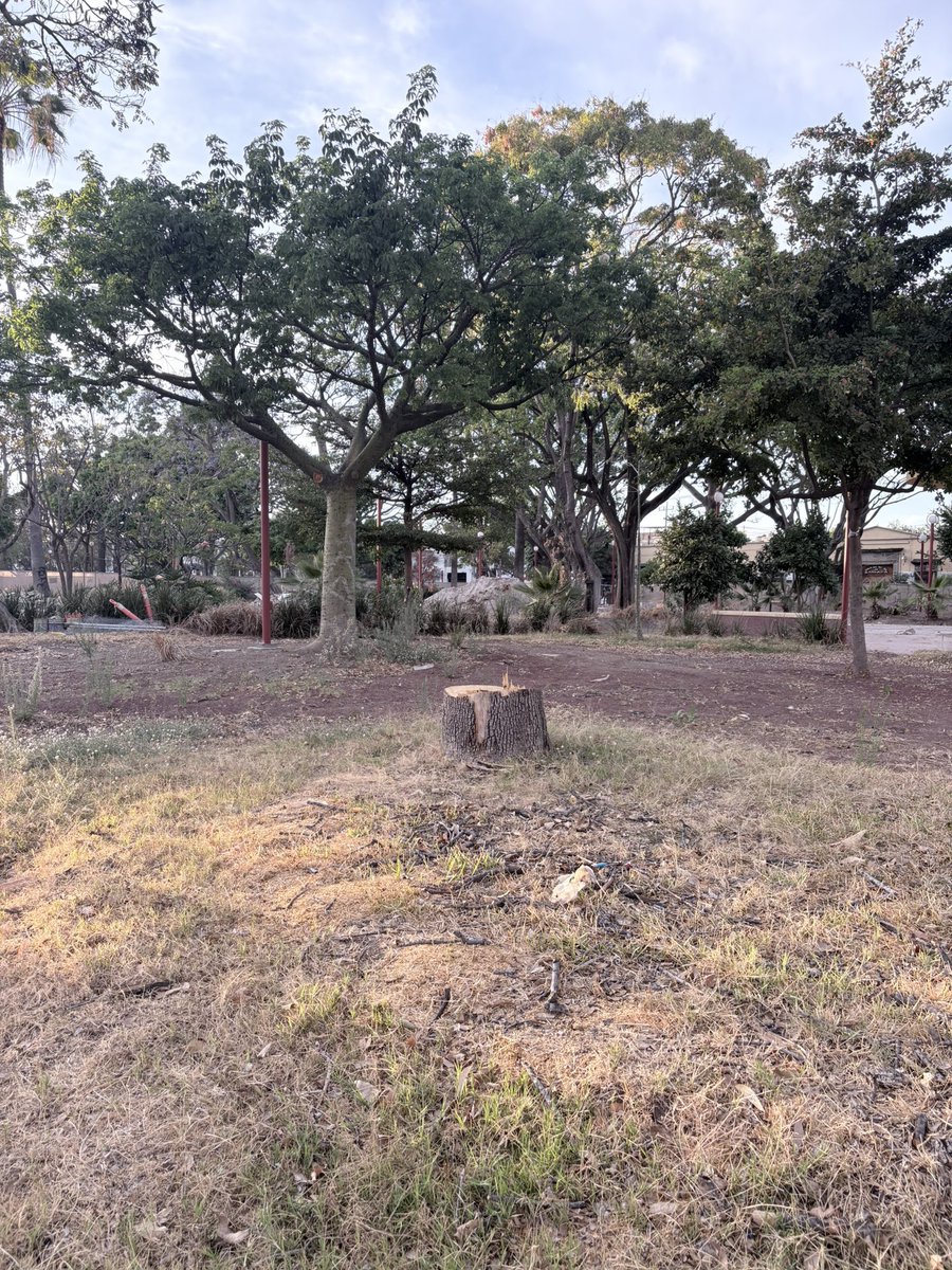 LUIS GUZMAN  📣 tweet media