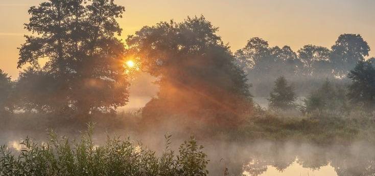 "افعل الطاعات إخلاصًا لا تخلُّصًا وحافظ على النوافل تقربًا لا تكرمًا"
- الضحى ضمونا ف لطيف دعواتكم 🤍
