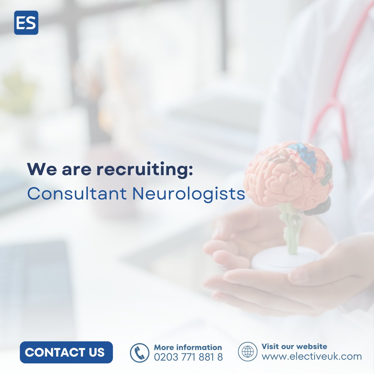 Elective Services tweet media