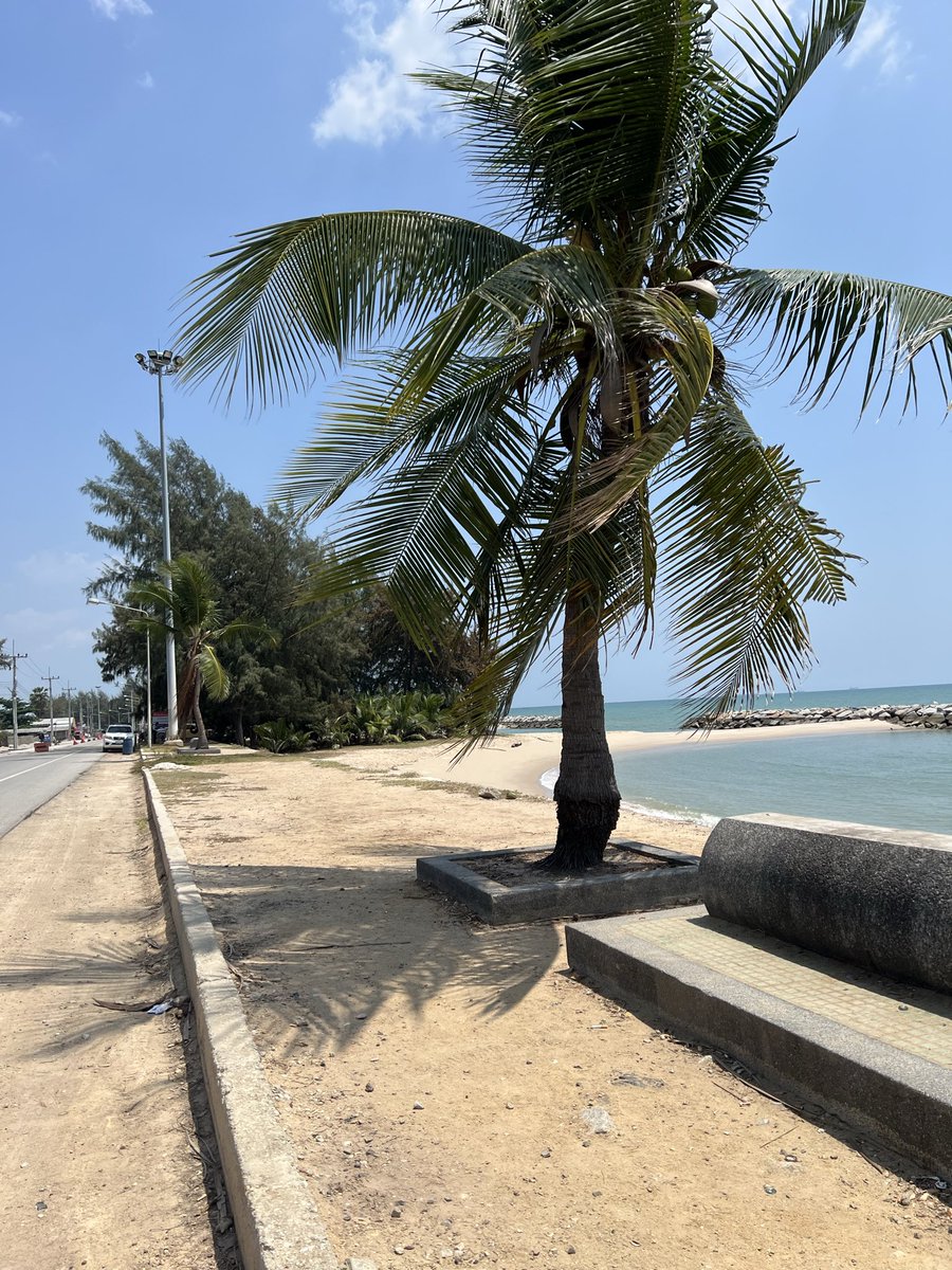 คนเหงา tweet media