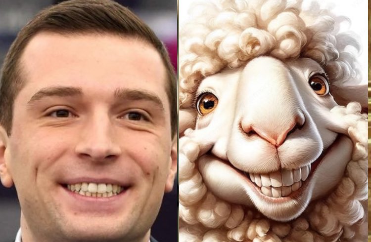 L'ANTIFACHISTE tweet media