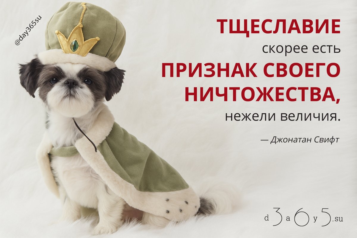 Истинное достоинство не нуждается в демонстрации.

Чем крепче человек внутри, тем меньше ему нужно казаться великим.

<a href="/day365su/">365 дней мотиваций</a>
#цитатокартинки