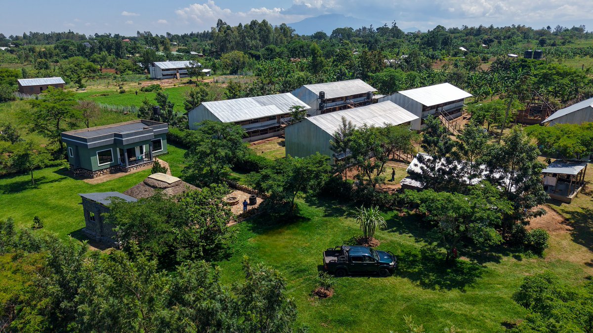 Dr. Daniel Masaba tweet media