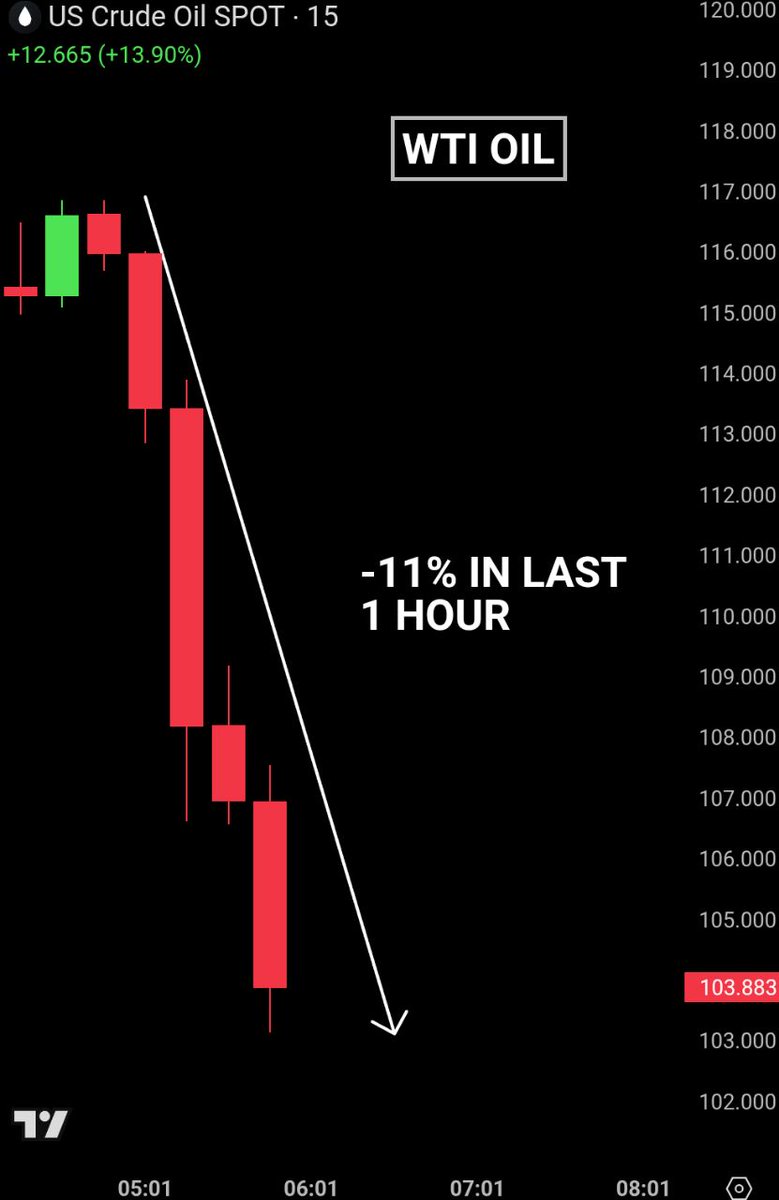 Bull Theory tweet media