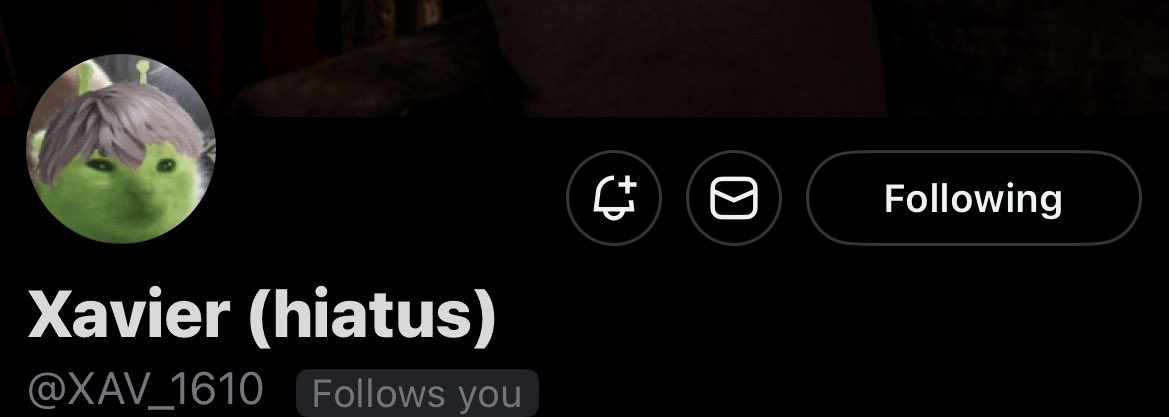 𝐗𝐚𝐯𝐢𝐞𝐫 ( hiatus ) tweet media