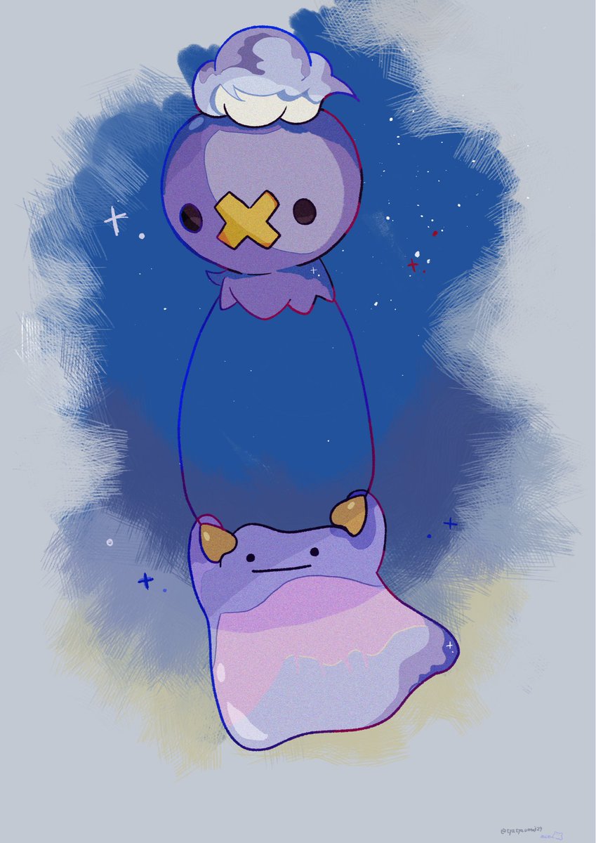 メンダコ🐙 tweet media