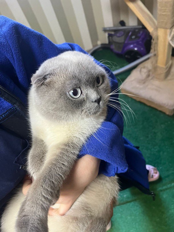 Masum Gözler tweet media