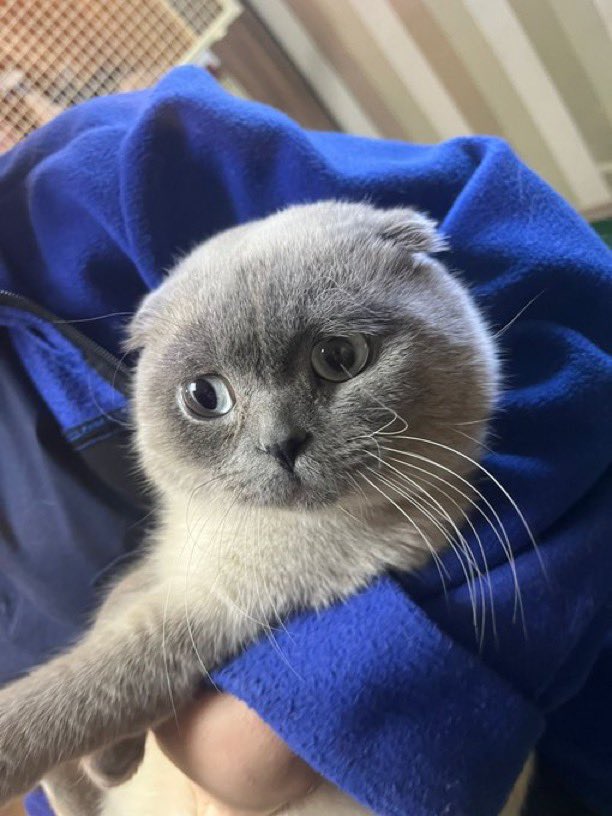 Masum Gözler tweet media