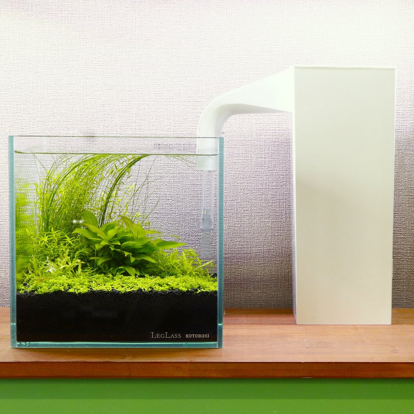 waterplantslover on X: 