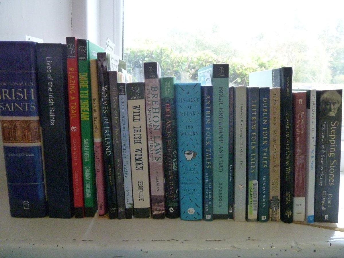 Irish History Bitesize! tweet media